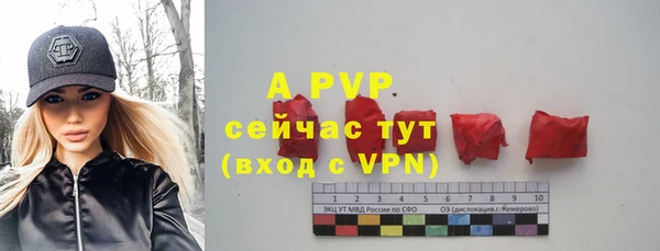 эйфоретик Богородицк