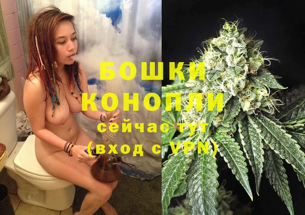 трава Богданович