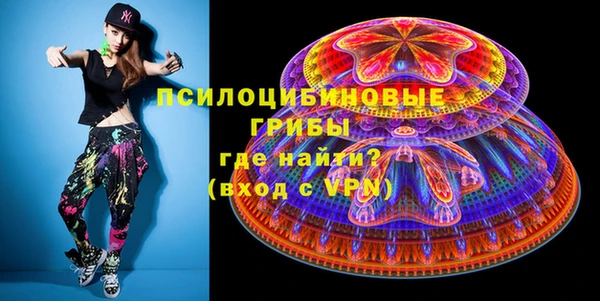 эйфоретик Богородицк
